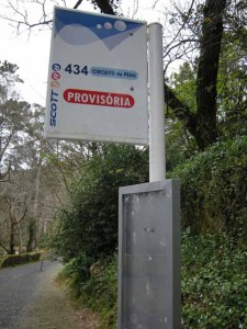 4Pena basutei480x640